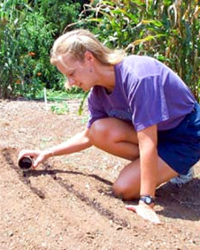 How to Plant Root Crops