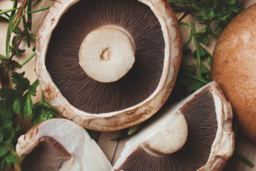 Portobello Mushroom Finishing Sauce – Cotton & Crete