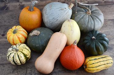 Group of Winter Squash