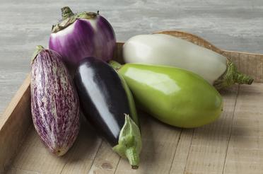 Eggplant varieties in wooden tray