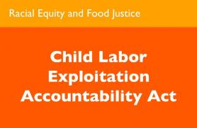 Child Labor Exploitation Accountability Act